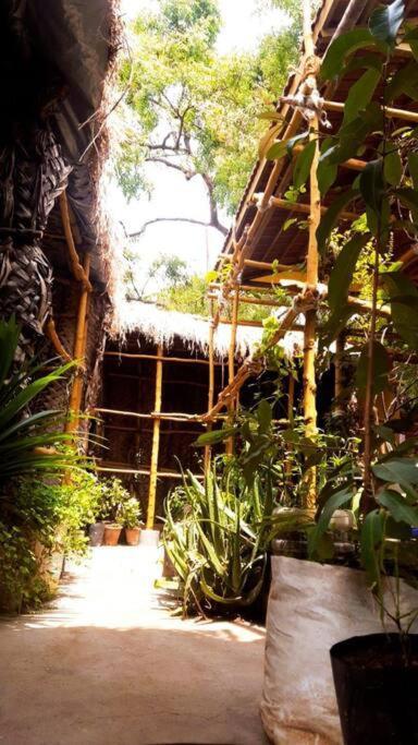 The Vintage House Villa Mysore Exterior foto